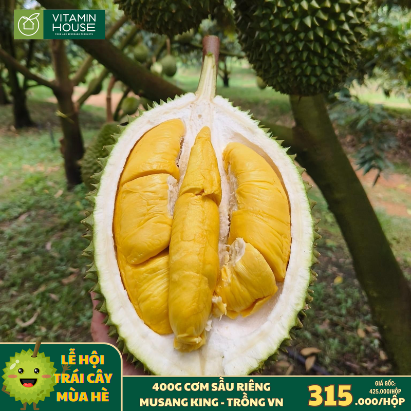 [Trái cây nội địa VN] Sầu Riêng Musang King Hộp 400g