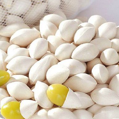 [Trái cây nhập khẩu] Bạch Quả Tươi (Ginko) Nhật Bản (500g - 1kg)